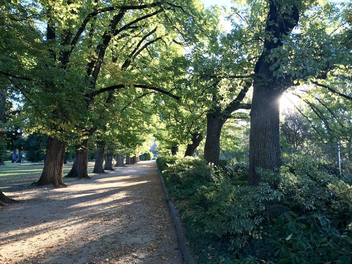 オーブリーThe Botanical 201アパートメント エクステリア 写真